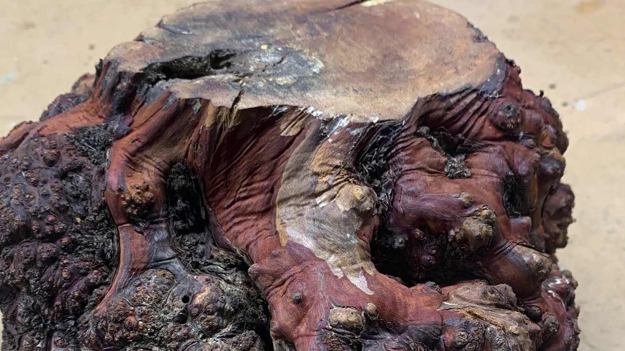 Wood Turning: Alumilite Epoxy & Manzanita Burl (The Autumn Bowl)