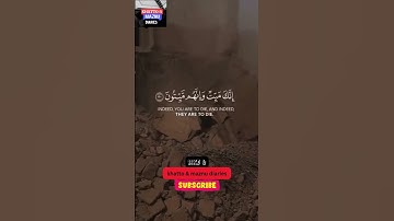 [سورة الزُّمَرِ: ٣٠-٣١] (القارئ الشيخ ماهر المعيقلي) { إِنَّكَ مَیِّتࣱ وَإِنَّهُم مَّیِّتُونَ }
