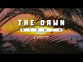 Free reggae instrumental beat 2019 the dawn riddim by soulfyah productions