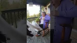 Download Lagu DO NOT CHECK THE SOUND 😭😭 #sora #sora2 #animals #ai #artificialintelligence MP3