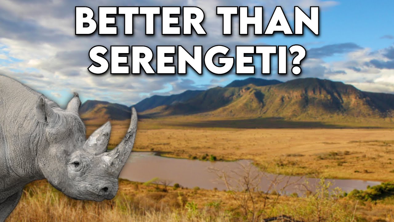 Самый недооценённый национальный парк Танзании — обзор национального парка Мкомази