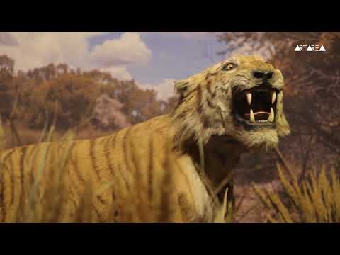 კავკასიის ბიომრავალფეროვნება