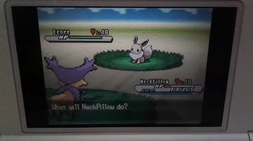 Pokemon White 2 shiny Eevee!!