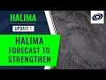 Cyclone Halima forecast to strengthen