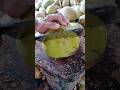Fast hands. Clean cut. Global money 💸🥥🌴#coconut#asmr#satisfying#oddlysatisfying#foodprocess