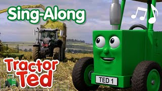 Amazing Maize Song 🎶 | Tractor Ted Sing-Along | Tractor Ted Official Channel