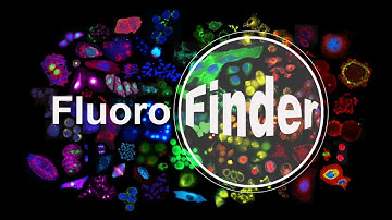 Introduction to FluoroFinder