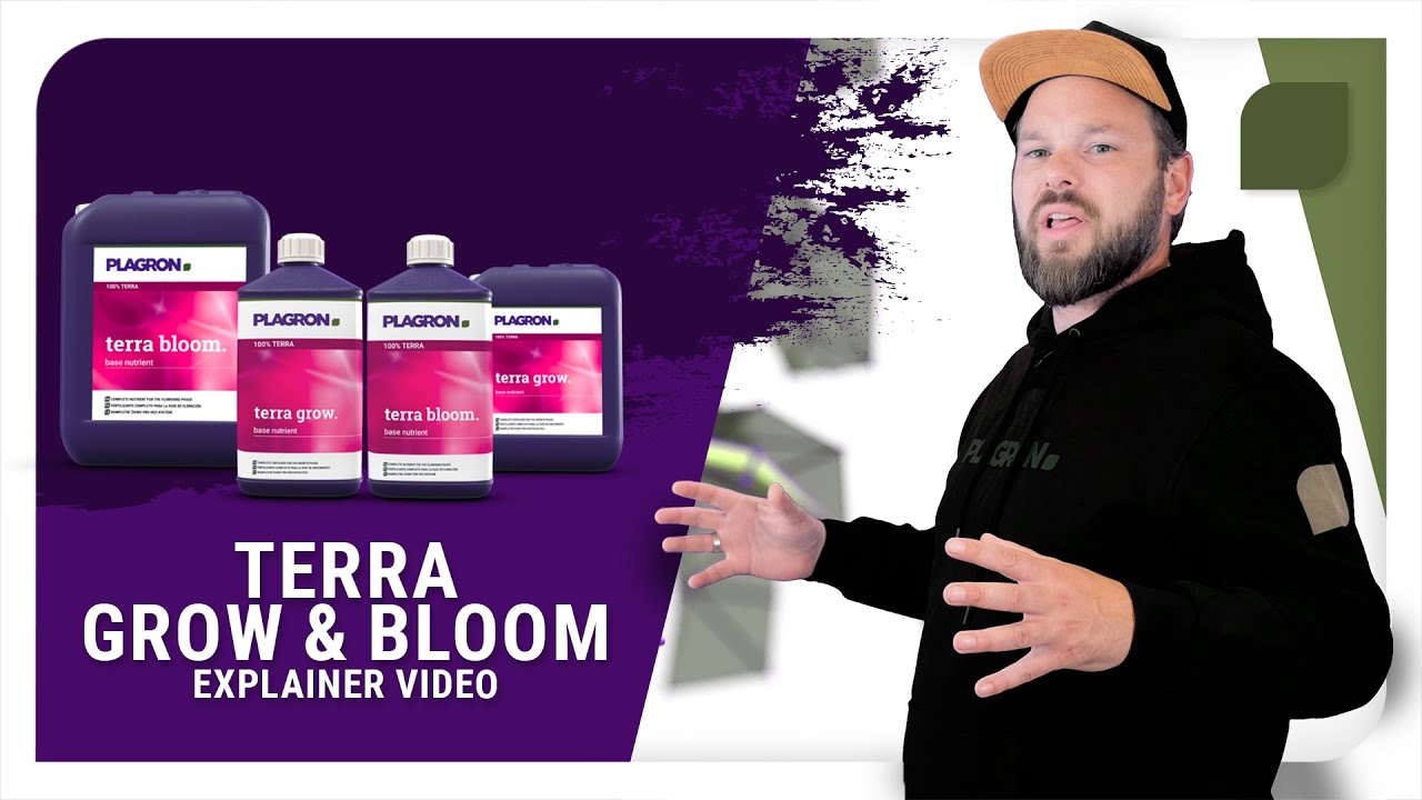 Plagron Terra Grow & Terra Bloom: Explainer video