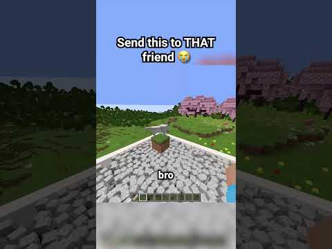 Send this to THAT one friend 😭🙏 #minecraft