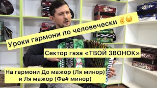 Уроки гармони. Сектор газа, Твой звонок на гармони в До мажор и в Ля мажор