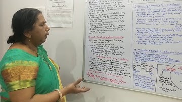 Assimilation of Ammonia