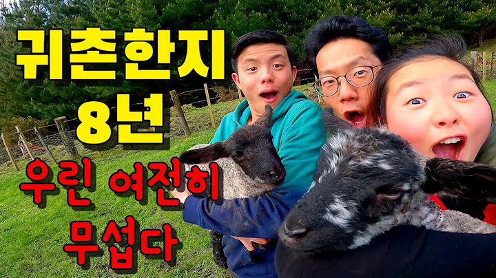 [뉴질랜드 시골가족🌹] 뉴질랜드에서 귀촌이 가능했던 이유 한가지