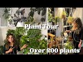 Full houseplant tour  how i plant style my house with over 200 houseplants creating a home oasis
