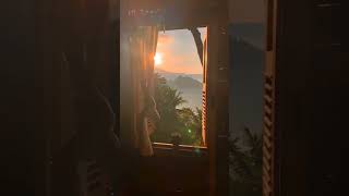 Sunshine X Sahiba Queen