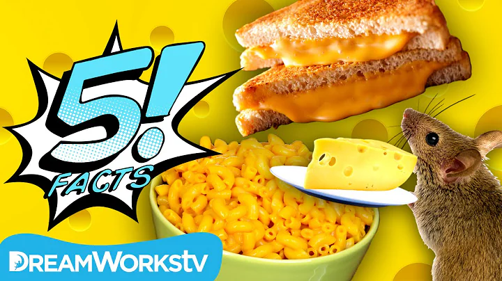 5 Ooey Gooey Facts About CHEESE | 5 FACTS