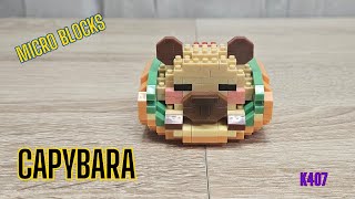 Celebrity Capybara - Micro Blocks K407 Net Worth