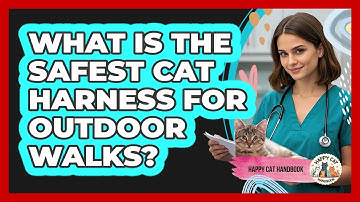 What Is The Safest Cat Harness For Outdoor Walks? - Happy Cat Handbook