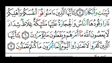 #قراءة  وشرح أحكام التجويد لسورة ( التحريم ) آية رقم ( ٦، ٧ ) وكيف نقف على التاء المربوطة