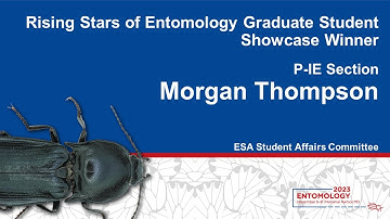 Rising Stars of Entomology Graduate Student Showcase Winner - Morgan Thompson - P-IE Section