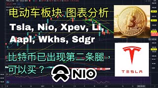 【美股分析】3Mar21 ｜电动车板块，图表分析TSLA，NIO，XPEV，LI，AAPL，WKHS，SDGR。比特币出现第2条腿，可以买？ ｜ JimmyLim林锦荣＃美股＃技术分析＃美股走势＃股票