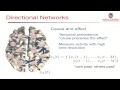 Modeling Electrical Brain Networks