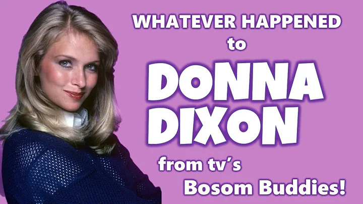 Whatever Happened To DONNA DIXON from tv's BOSOM B...