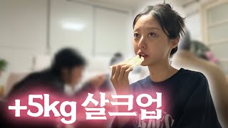 1일6식 다이어트🍔