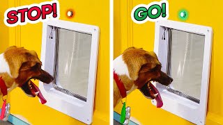 DIY Inventions for you and your Pets. Electric Gadgets for home