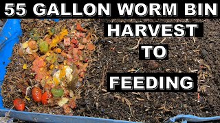 The Ultimate Guide to Mastering Your 55 Gallon Worm Bin