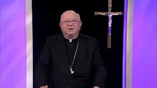 The Harvest is Plenty Reflections -- Pt. 13