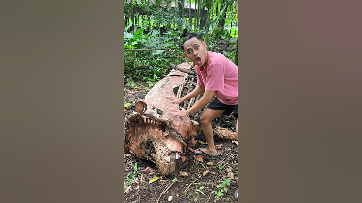 Sapi Tidur 🐮