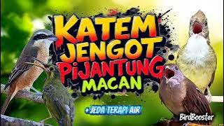 MASTERAN BESETAN TAJAM | SATU JALUR   JEDA TERAPI AIR 100% CEPAT MASUK!