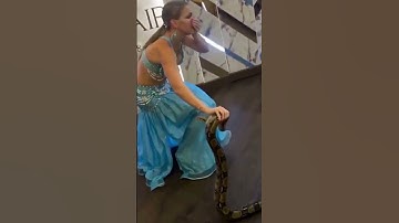 Russian dancer gets bitten by snake l @Politics_World_PW