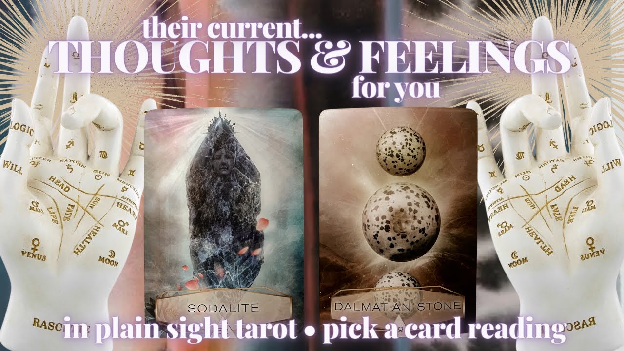 PICK A CARD: 🌸THEIR CURRENT THOUGHTS & FEELINGS FOR YOU🌸