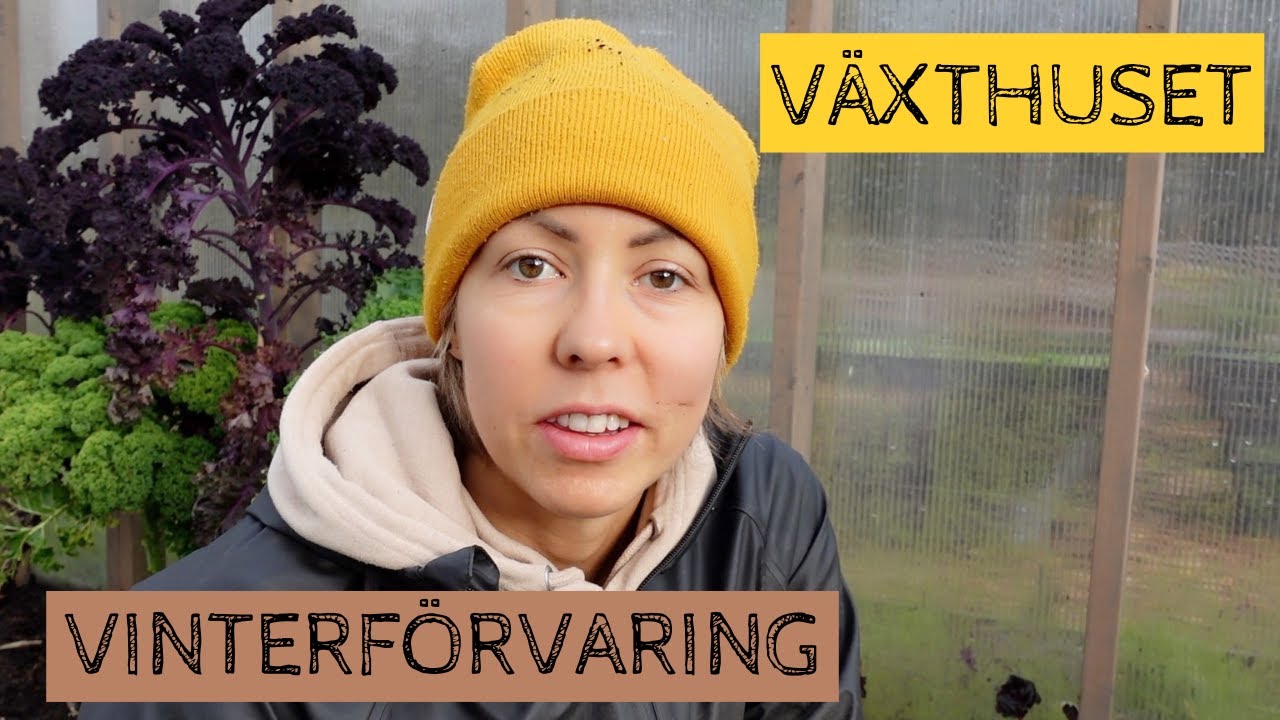 Vinterförvaring och odling i växthuset - grönkål, rotfrukter, purjolök