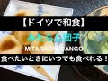 冷凍しても柔らかく美味しくつくる方法【ドイツで和食】みたらし団子 / MITARASHI-DANGO