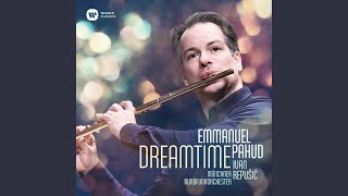 Video thumbnail of "Emmanuel Pahud - Flute Concerto in D Major, Op. 283: I. Allegro molto moderato"