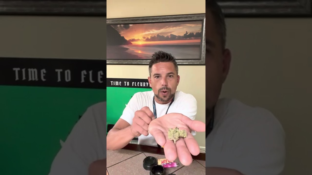 Ice Cream Cake 3.5G by Grump Weed CJ’s Cannabis & Wellness 