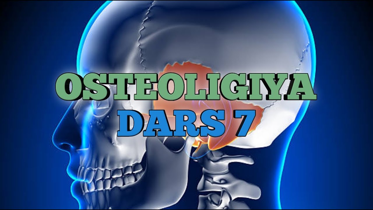 Osteologiya  7-dars Chakka suyagi  (BAXTIYOR NORBEKOBICH official)