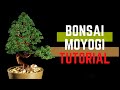 🌳🍃BONSAI DE ALAMBRE || vertical informal (MOYOGI) || TUTORIAL || TIME LAPSE