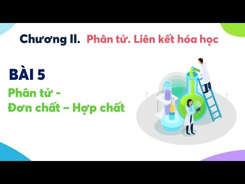 Video [PowerPoint bài dạy]????Bài 5???? Phân tử Đơn chất Hợp... - youtube