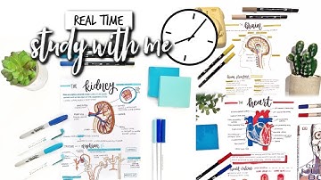 REAL TIME MOTIVATIONAL STUDY WITH ME *white noise* + CHANNEL UPDATES