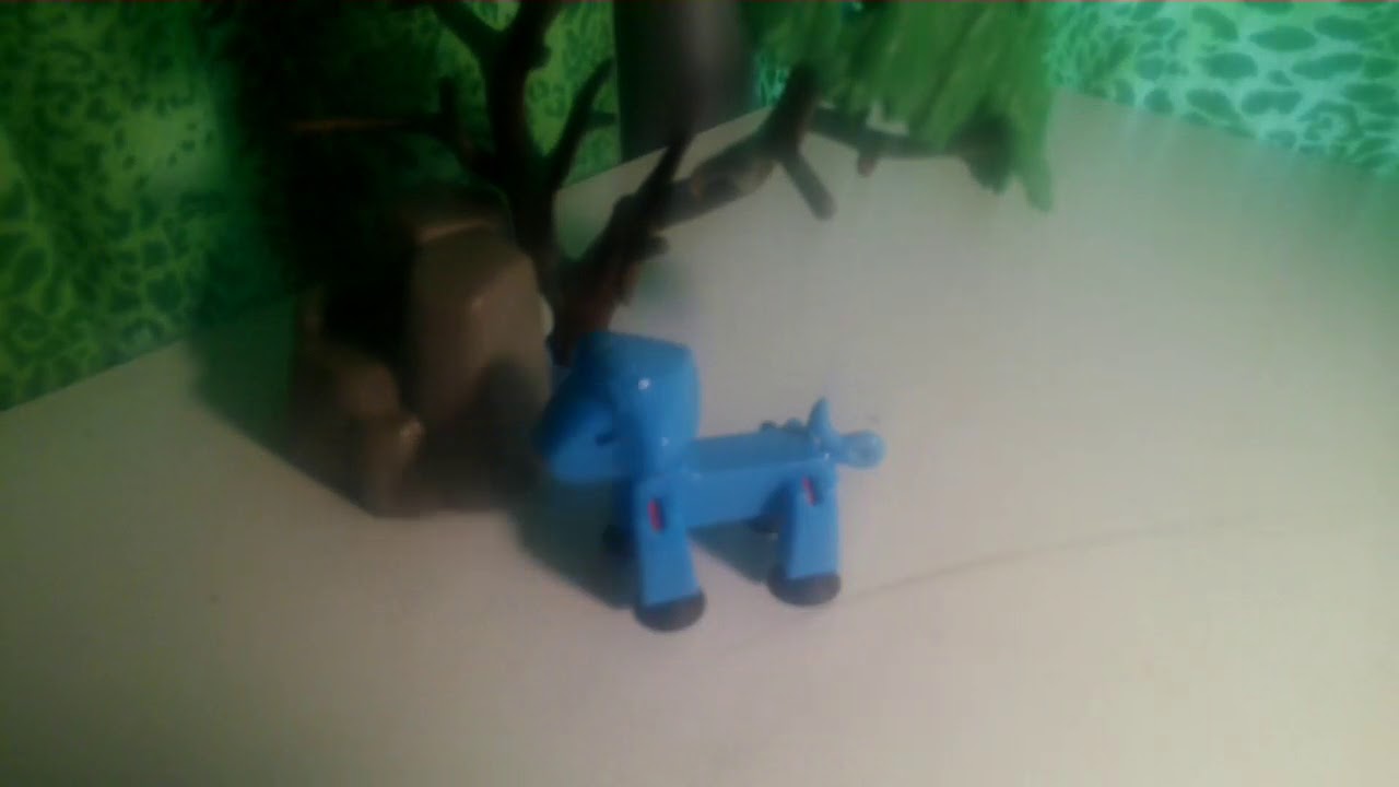 the life of a stiklion  king of the jungle