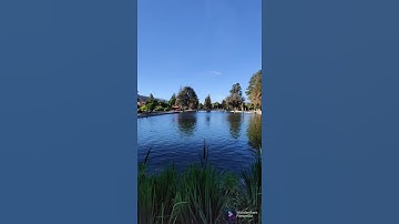 سورة الماعون الشيخ ياسر الدوسري