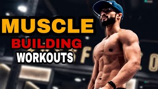 Muscle Building Workouts : Skinny Guys ഇദ് Follow ചെയ്യു