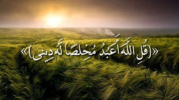 حالات واتس اب قرآن كريم للشيخ حسن صالح روعه