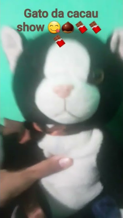 gato da cacau show