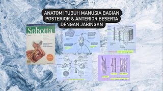 Anatomi Tubuh Manusia Bagian Posterior & Anterior beserta Dengan Jaringan.