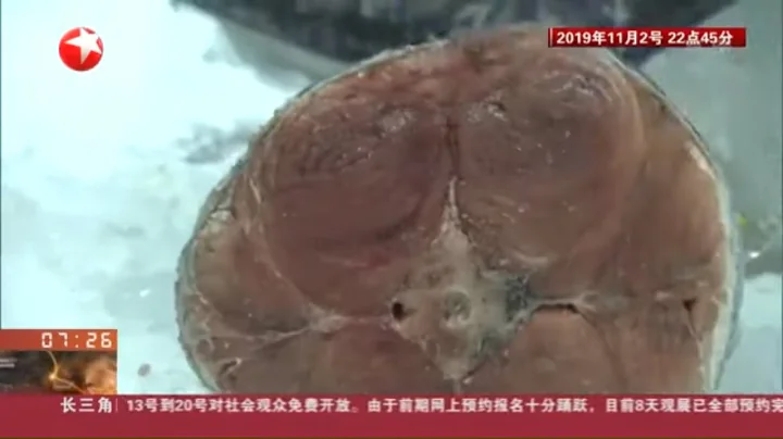 【上海进博会抢先看】16小时长途旅行！600斤地中海蓝鳍金枪鱼抵沪【第二届中国国际进口博览会】【东方卫视官方HD】 【第二届中国国际进口博览会】【东方卫视官方HD】 - 天天要闻