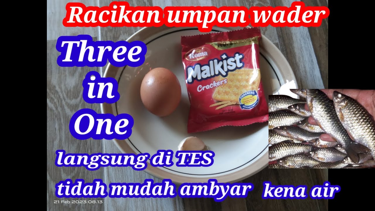 Tes umpan wader paling jitu.mancing wader @DMcreato65